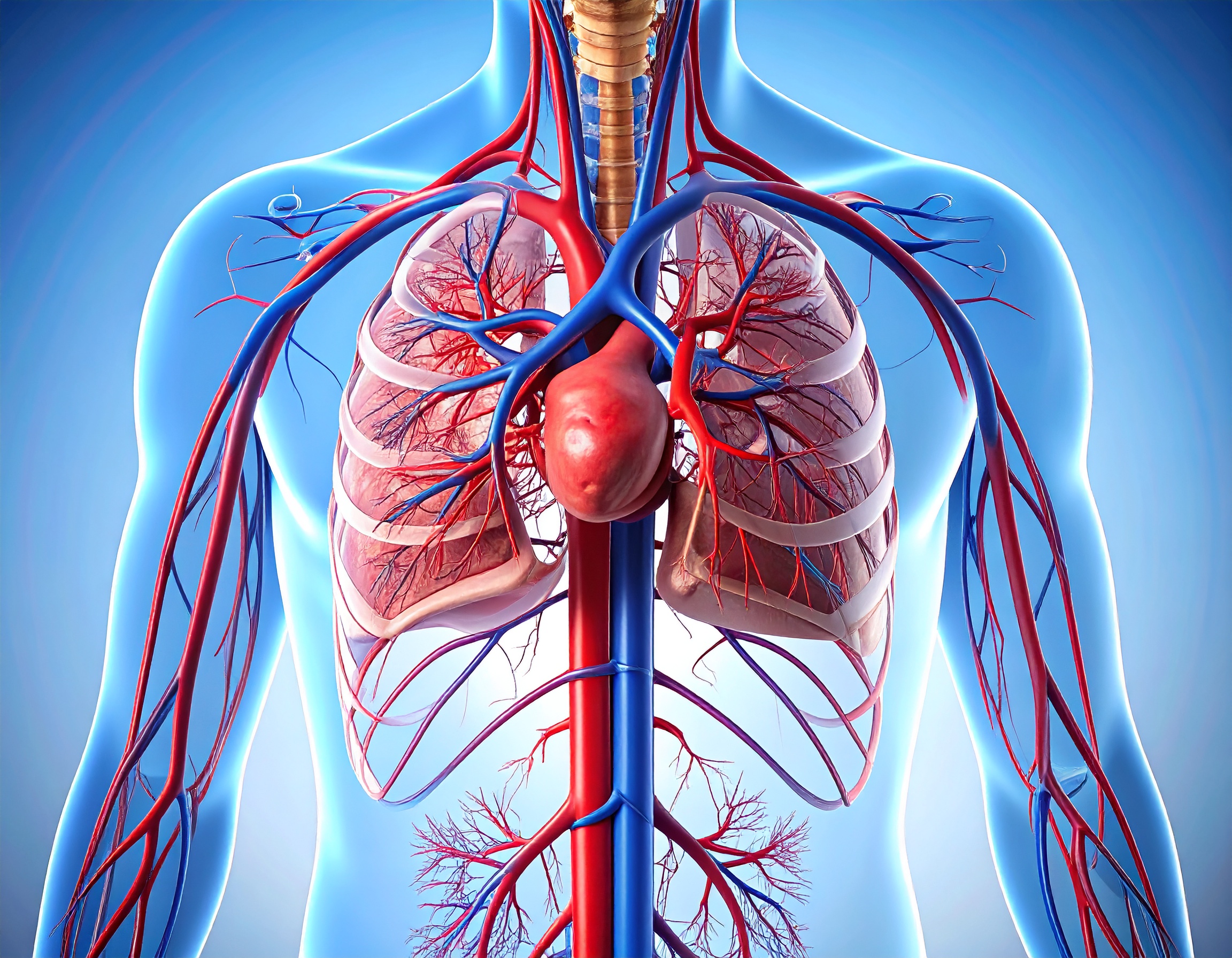 Arterial TOS